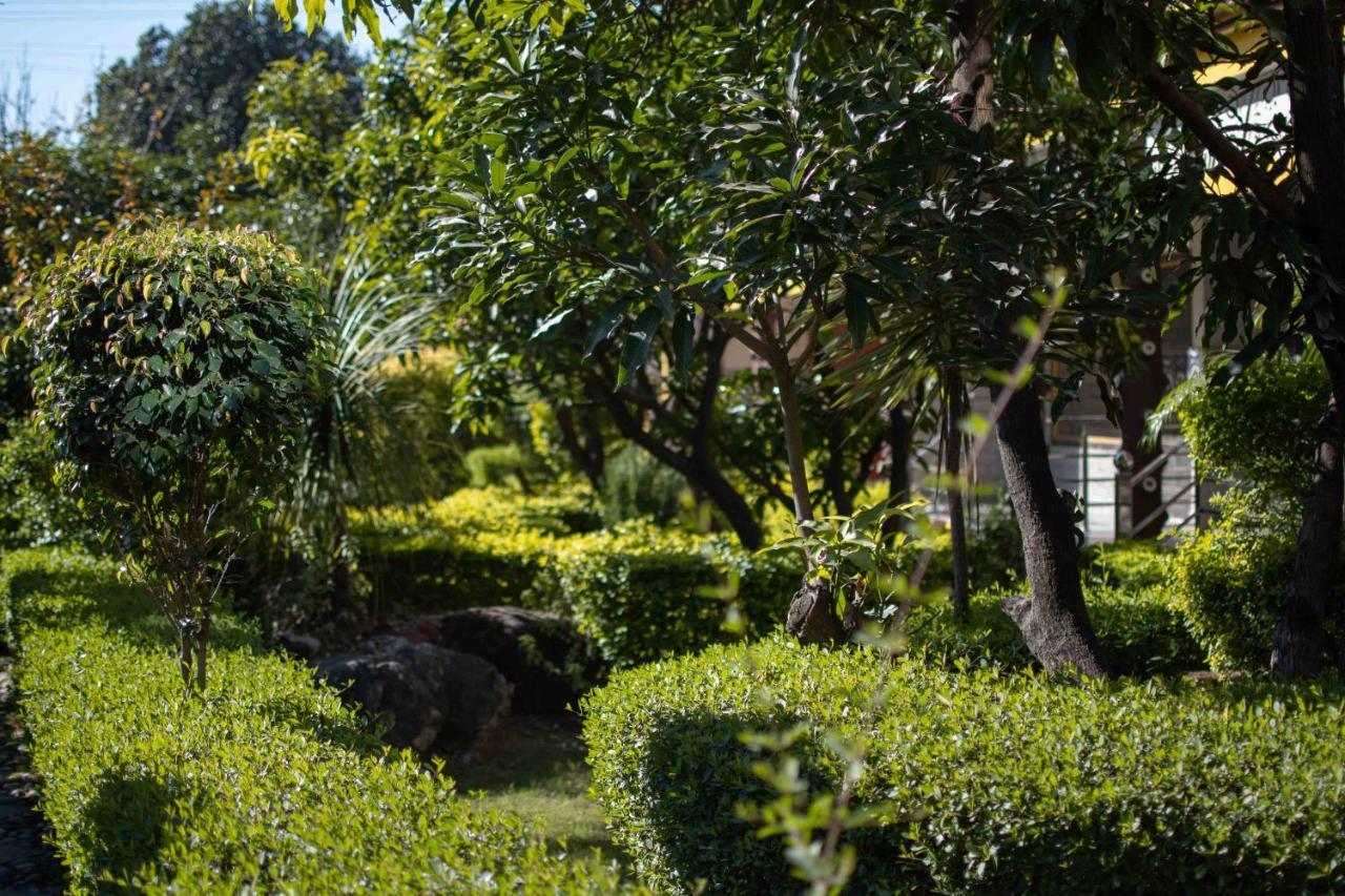 Mvt Guesthouse & Restaurant Rishīkesh Esterno foto